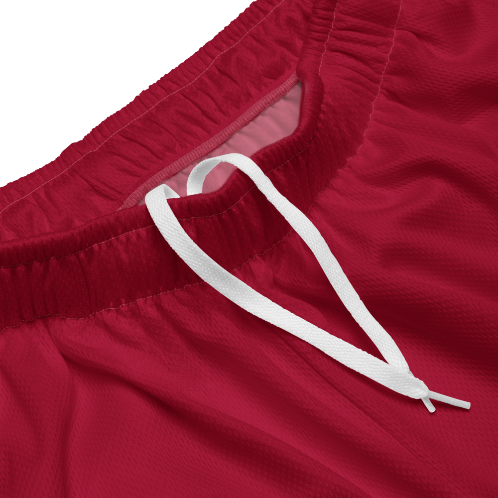 RANKL Maroon Flex Shorts